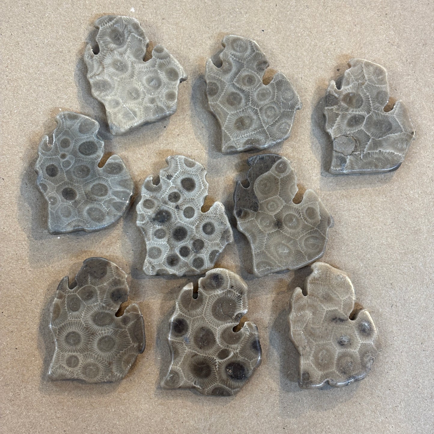 Petoskey Stone Magnet Lower Peninsula Michigan Mitten