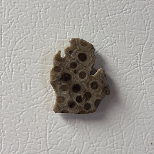 Petoskey Stone Magnet Lower Peninsula Michigan Mitten