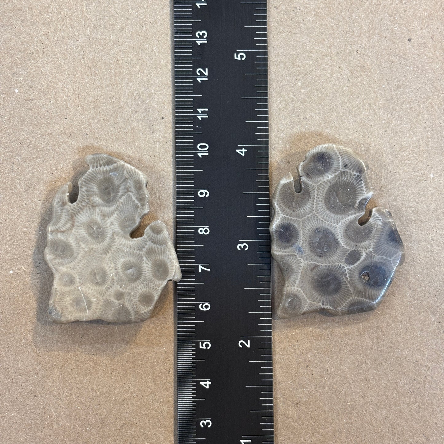 Petoskey Stone Magnet Lower Peninsula Michigan Mitten