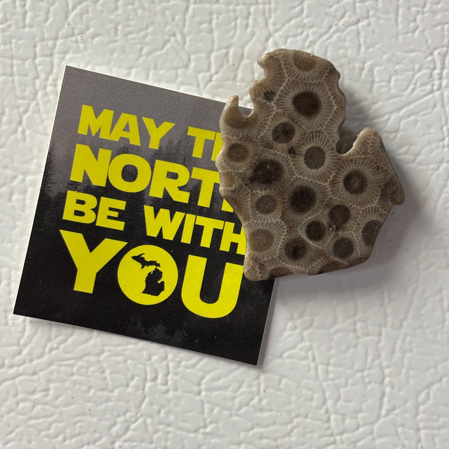 Petoskey Stone Magnet Lower Peninsula Michigan Mitten