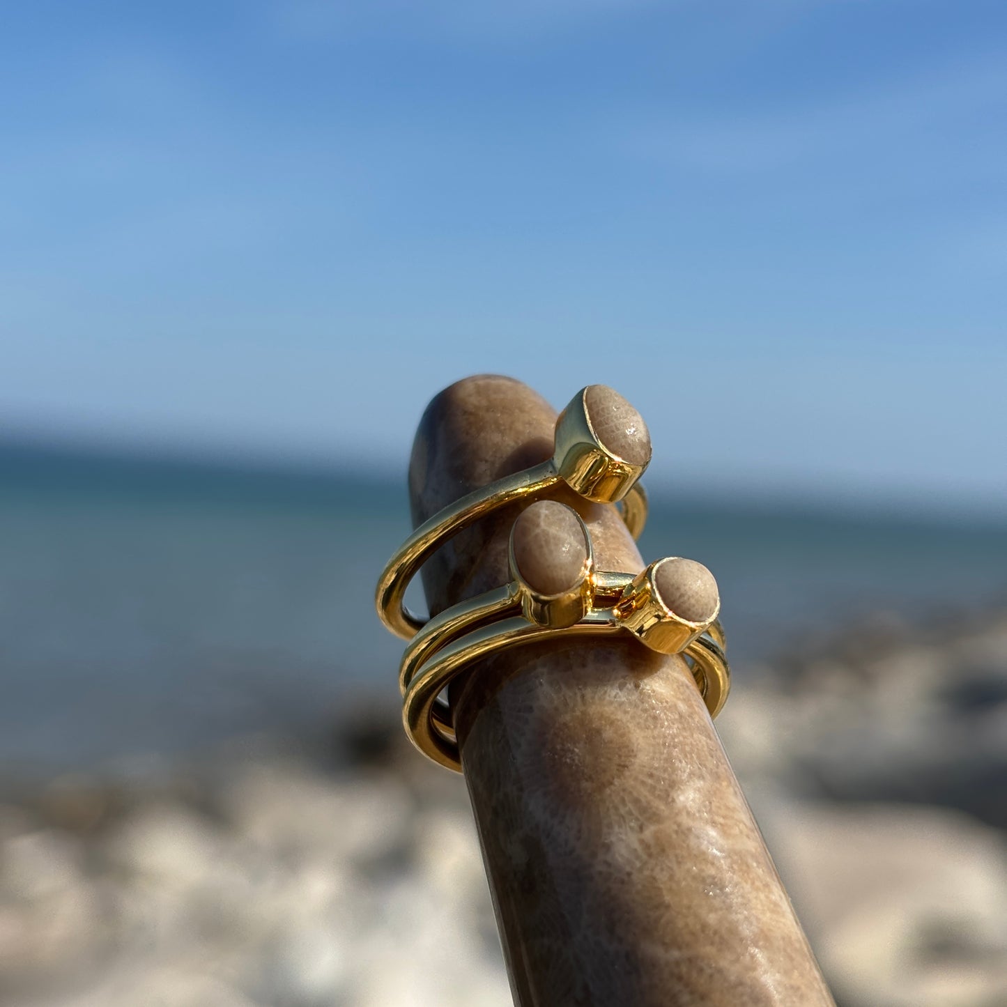 Stackable Petoskey Stone and Gold Vermeil Ring