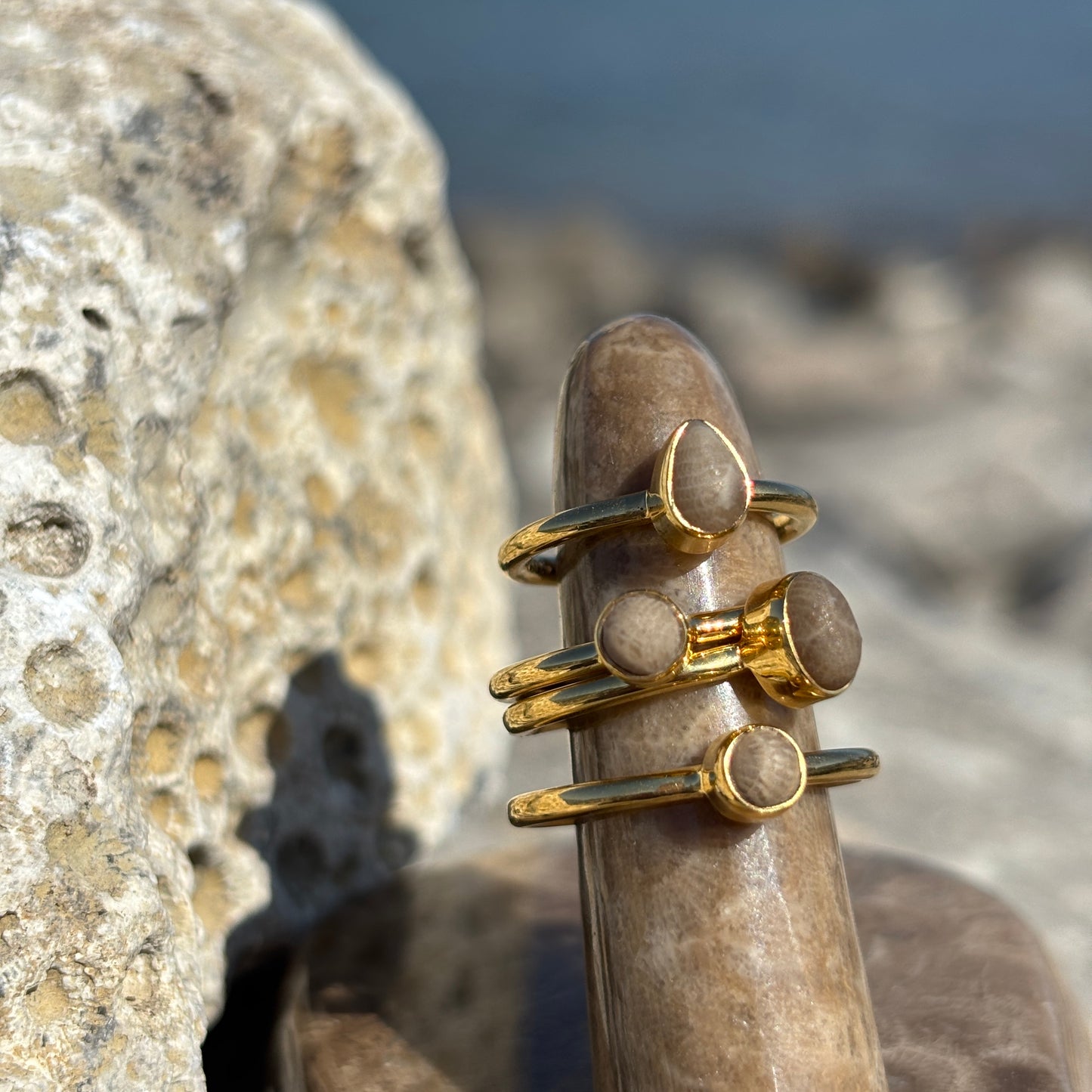 Stackable Petoskey Stone and Gold Vermeil Ring