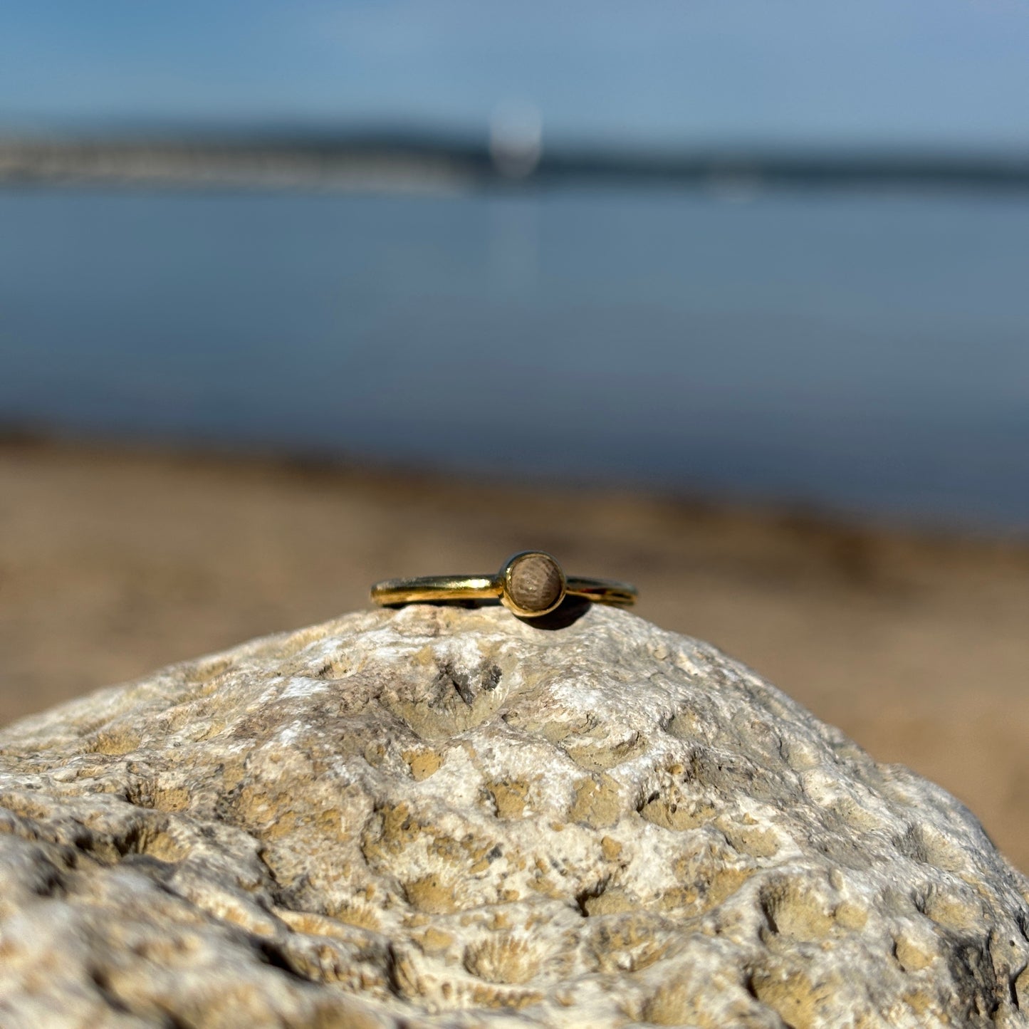Stackable Petoskey Stone and Gold Vermeil Ring