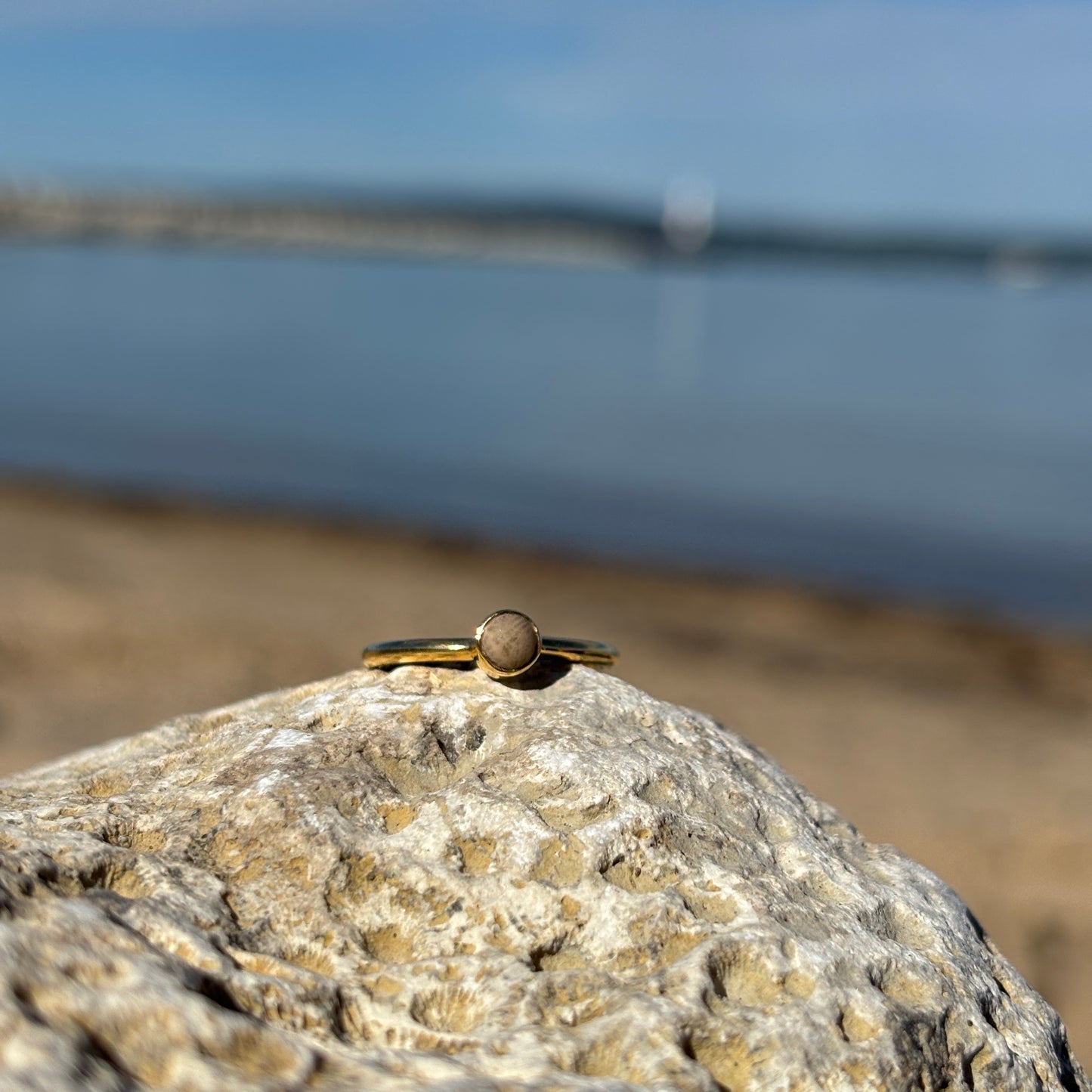 Stackable Petoskey Stone and Gold Vermeil Ring