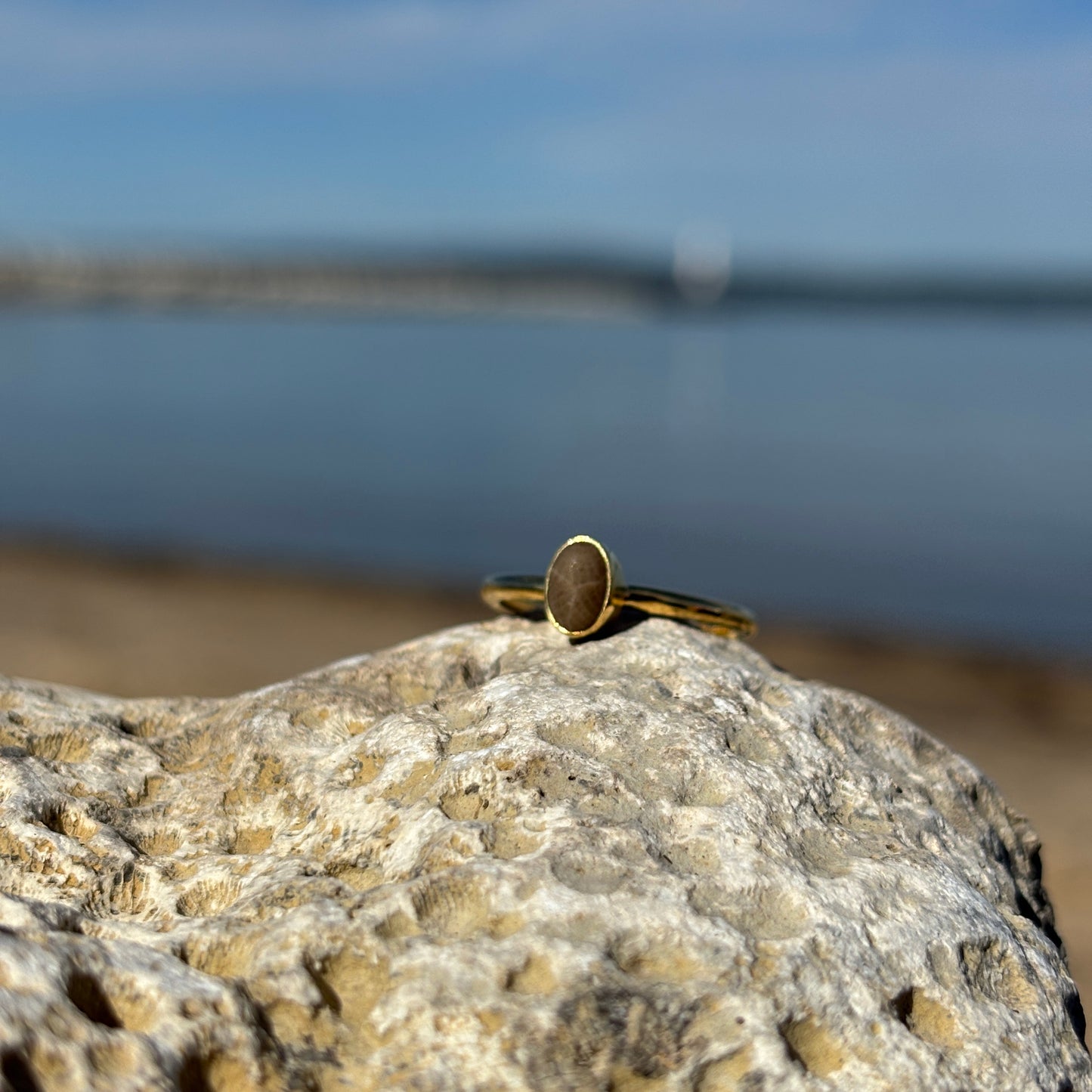 Stackable Petoskey Stone and Gold Vermeil Ring