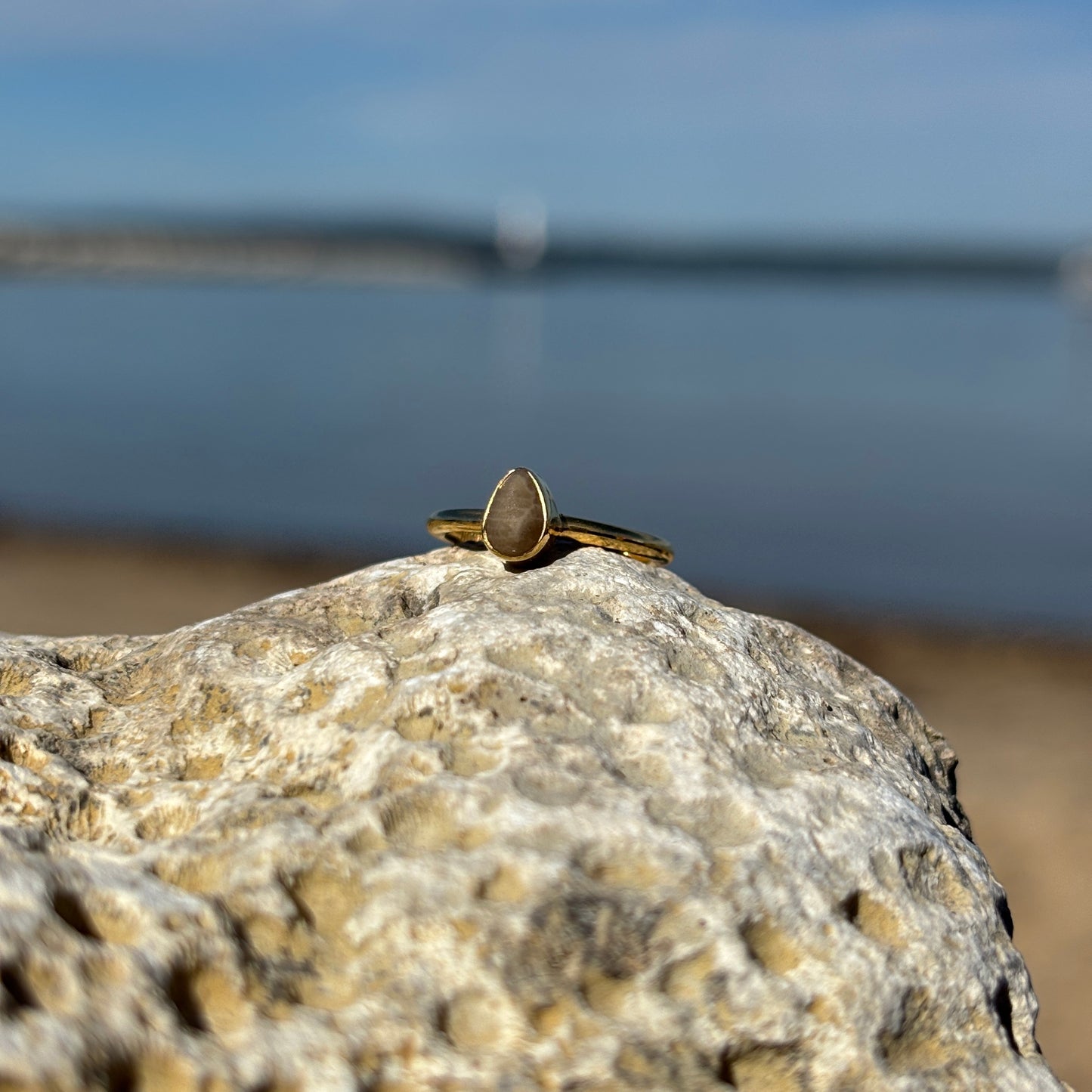 Stackable Petoskey Stone and Gold Vermeil Ring
