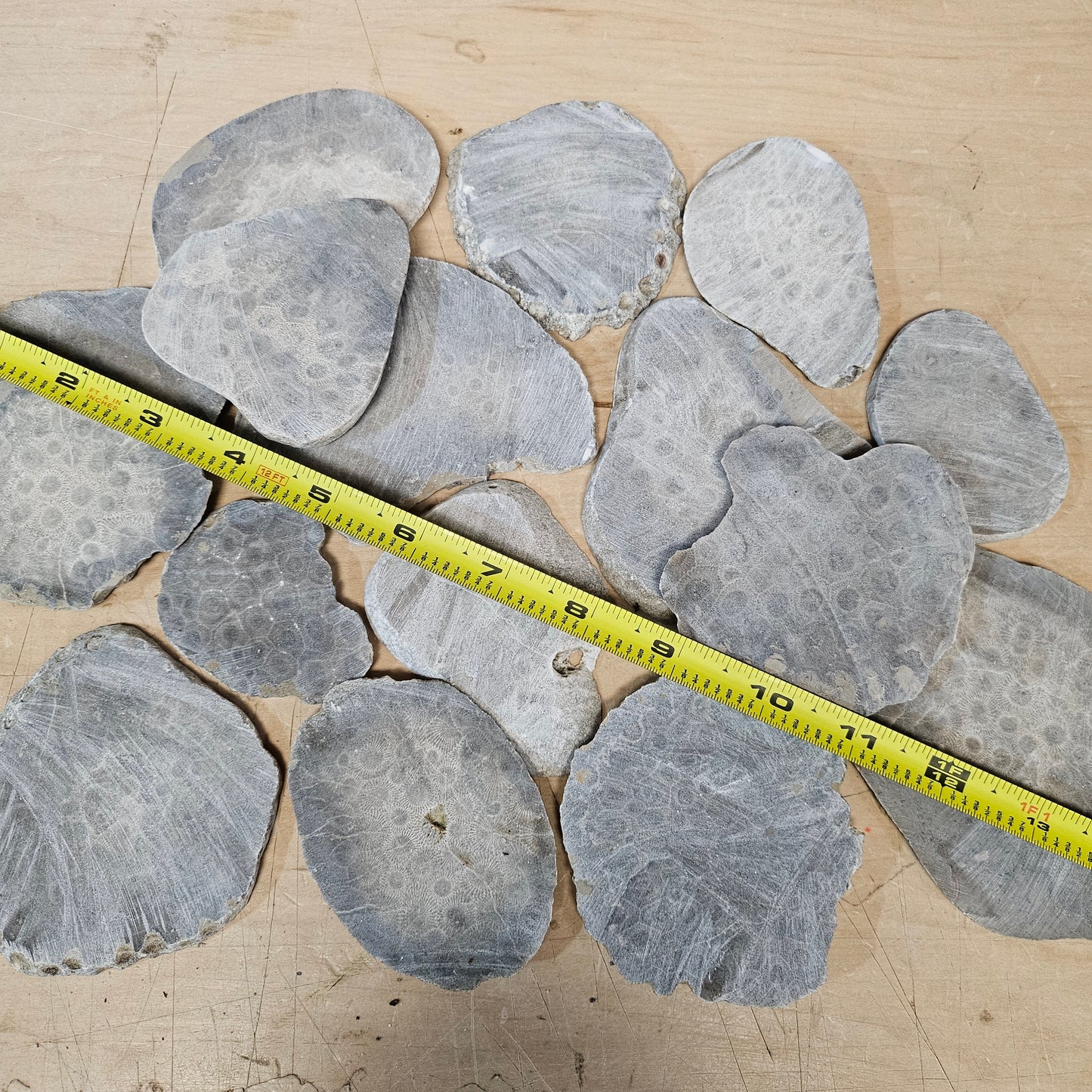 Petoskey Stone Slab Chips - Unpolished