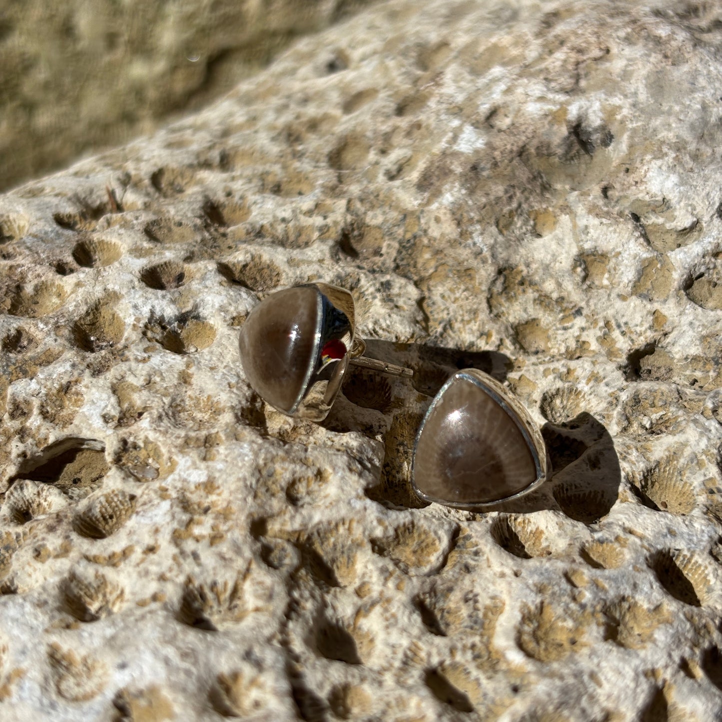 Petoskey Stone Stud Earring with Sterling Silver