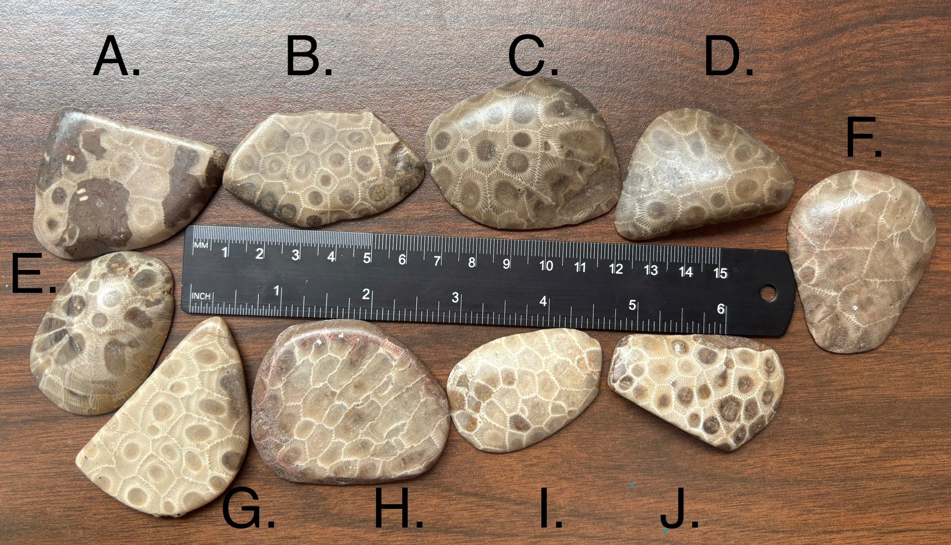 Petoskey Stone Worry Stones with a ruler