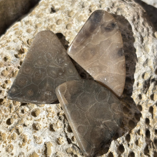 Petoskey Stone Worry Stone