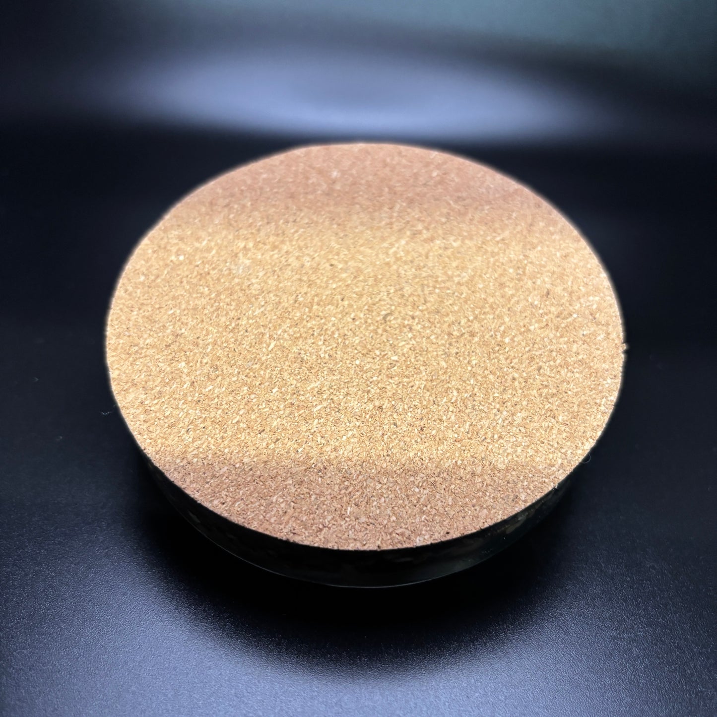 Round Michigan Coasters with Petoskey Stone