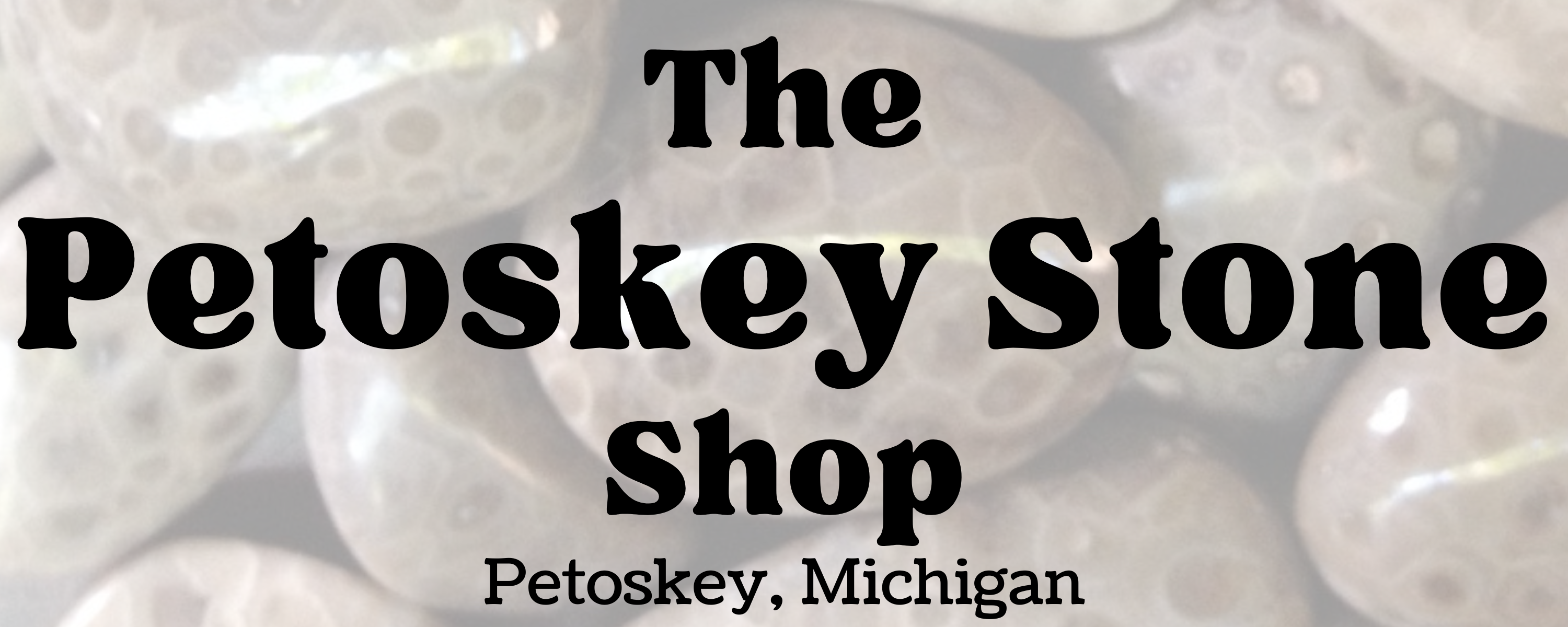 The Petoskey Stone Shop