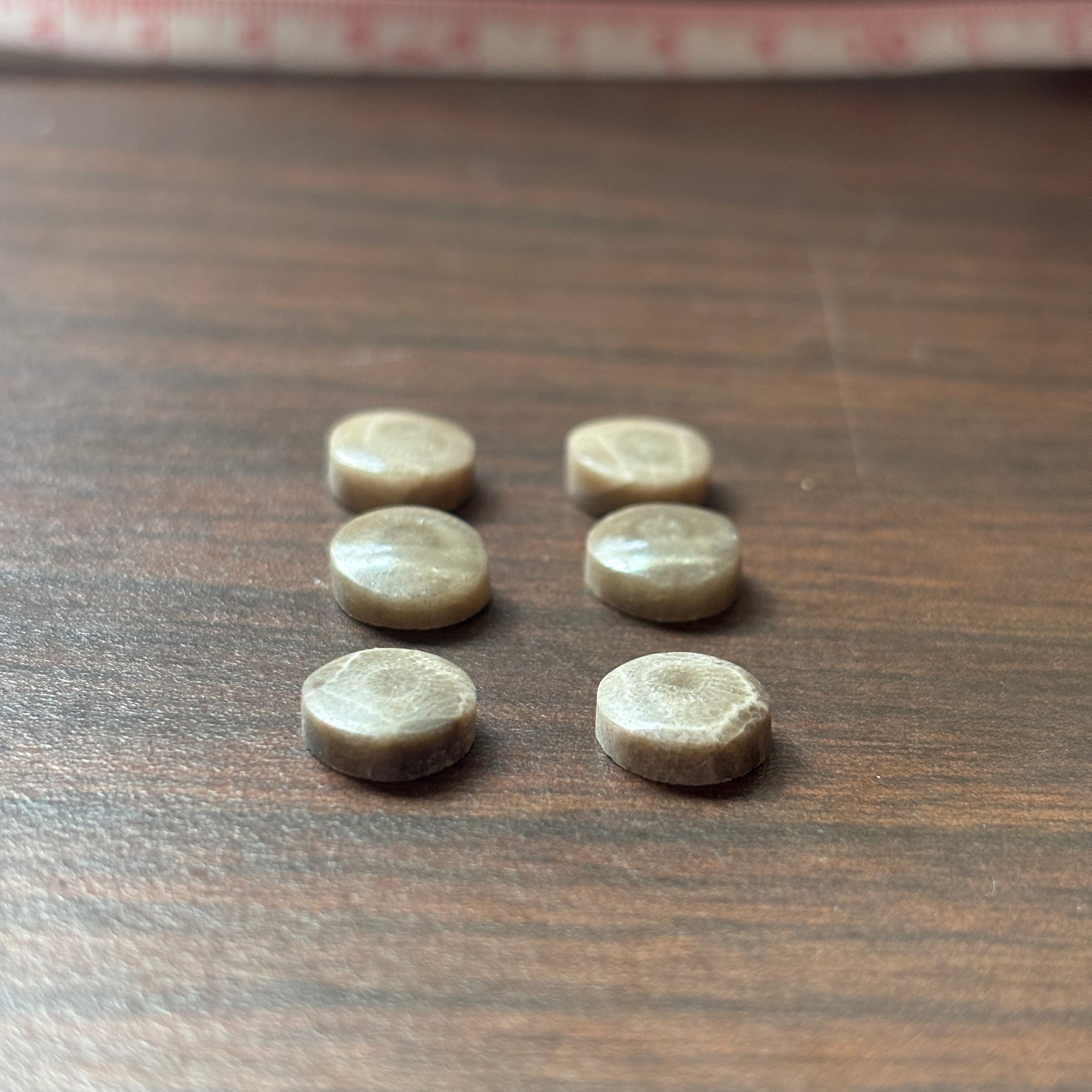 Six round beige petoskey stone cabochons on a wooden surface