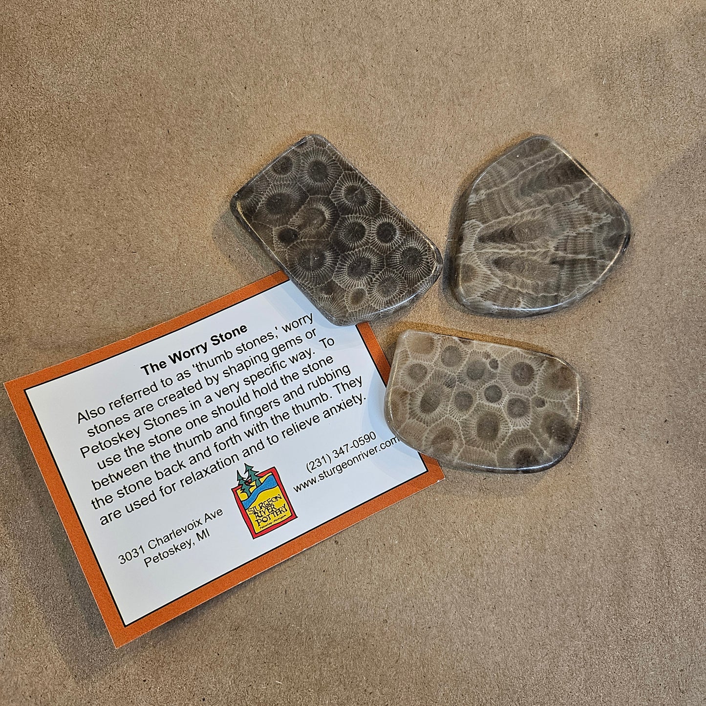 Petoskey Stone Worry Stone