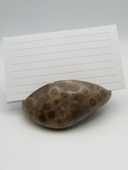 Polished petoskey stone business card holder with exceptional pattern shown sitting in a blank white space with cards slotted into the opening. Holds up to 25 cards.