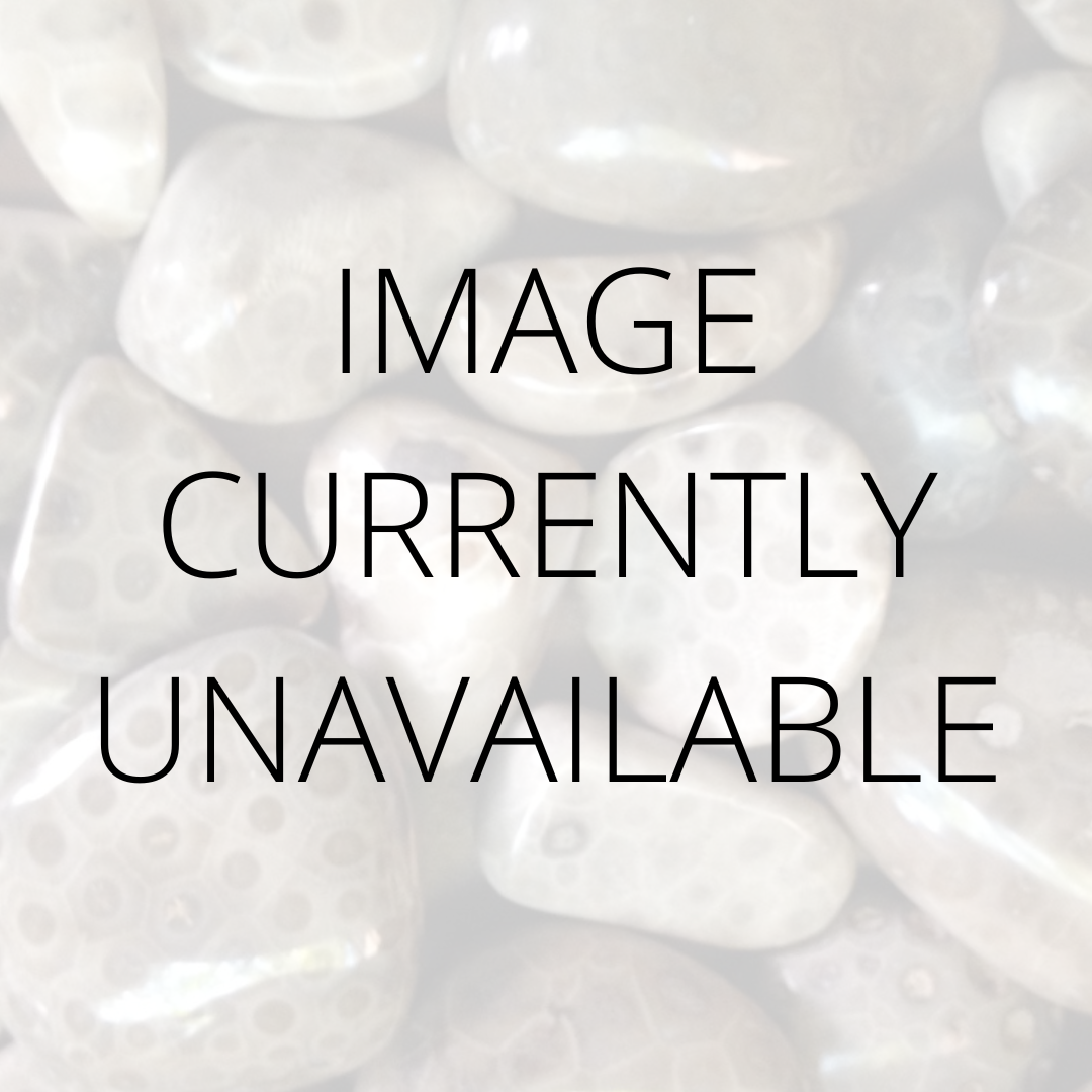 Polished Petoskey Stone Slabs