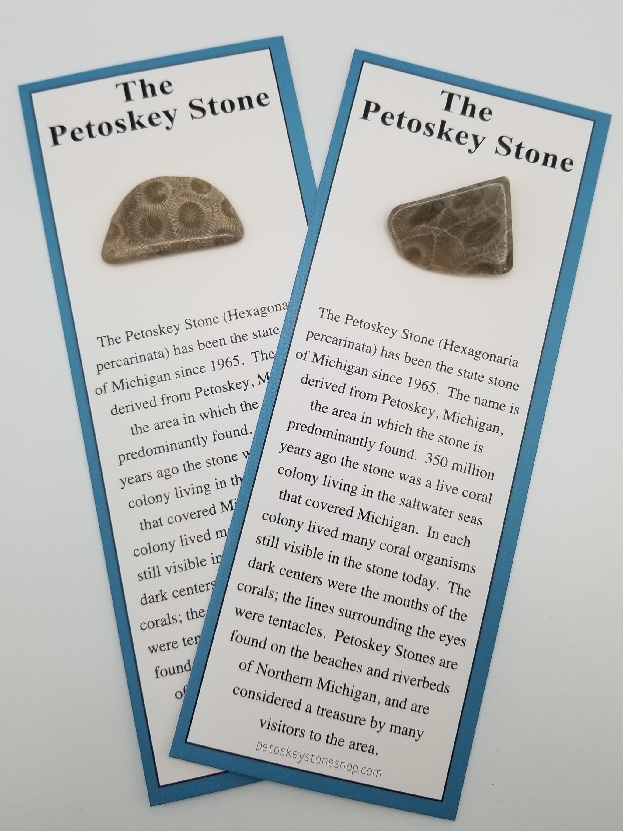 Carded Petoskey Stone With History The Petoskey Stone Shop