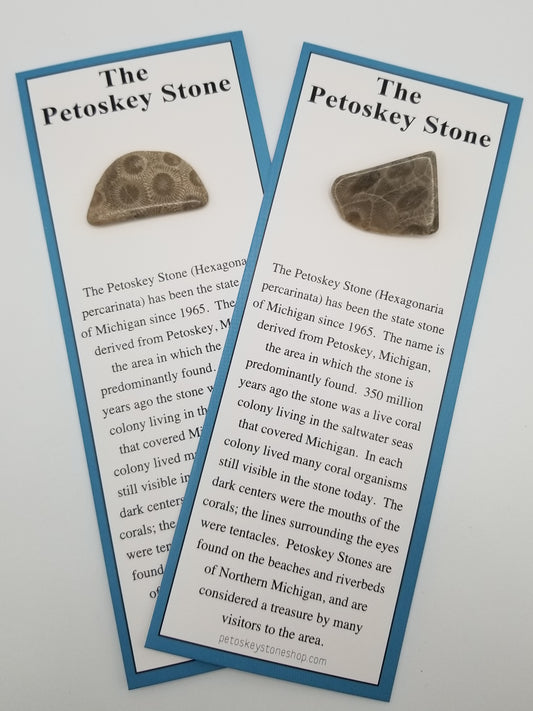 Two long rectangle petoskey stone information cards on card stock with a polished petoskey stone hand picked and glued at the top. Perfect for weddings, souvenirs, and all events. Made in Petoskey, Michigan.