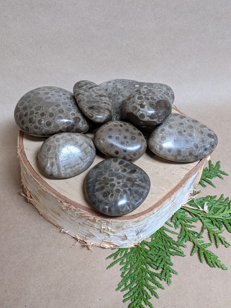 Fully polished medium to large petoskey stones fully polished and in the $10-$30 price range.